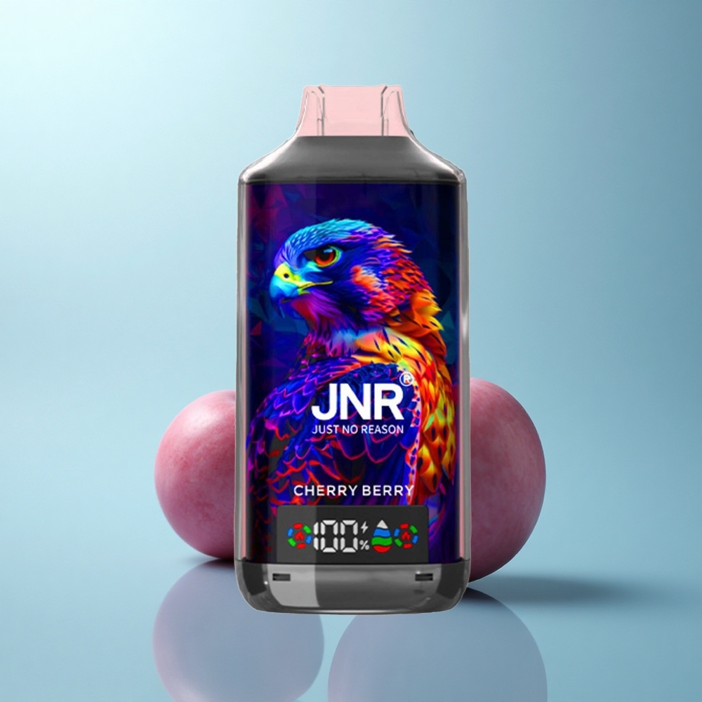 JNR Falcon X 18000 דובדבן פירות כפול מסך דיגיטלי 24 מ"ל